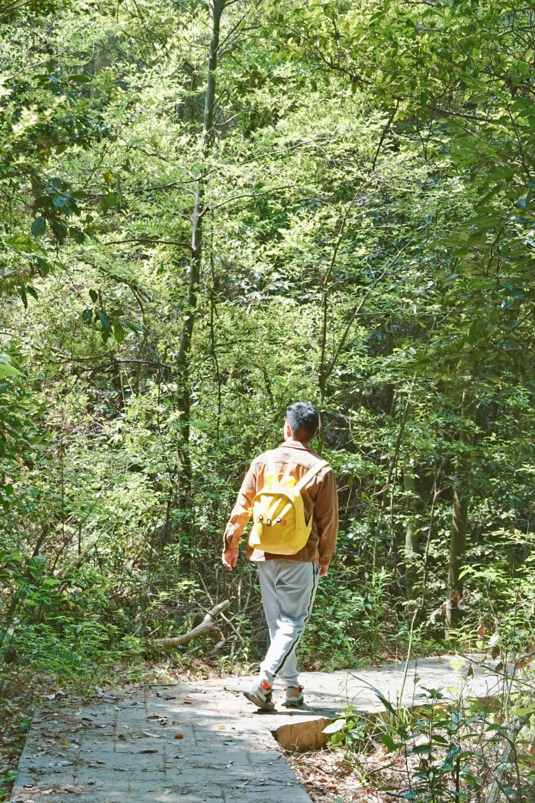 DƬ